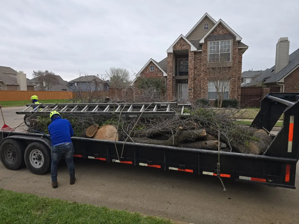 Expert Tree Fertilization with proper safety equipment in Oxon Hill